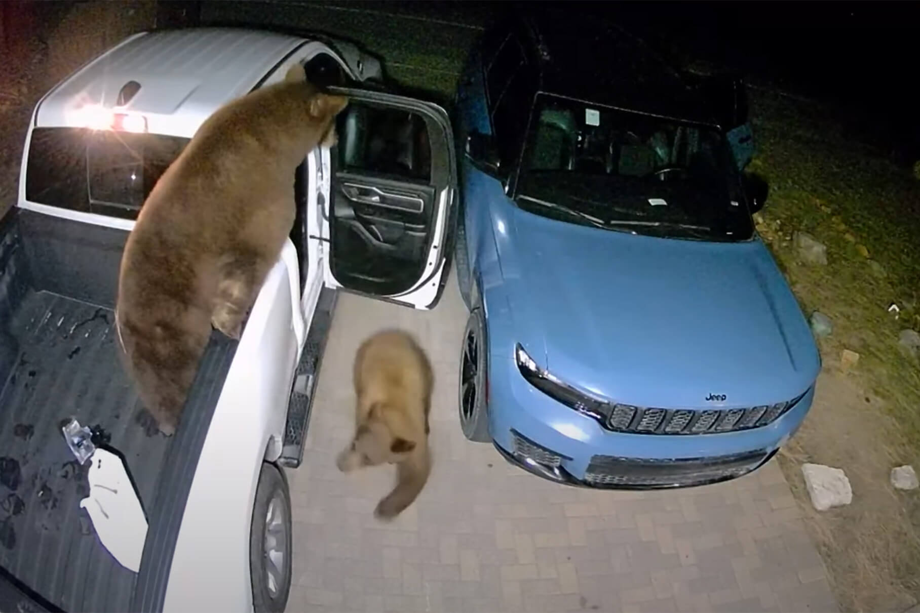 The bears easily opened the doors of two parked cars